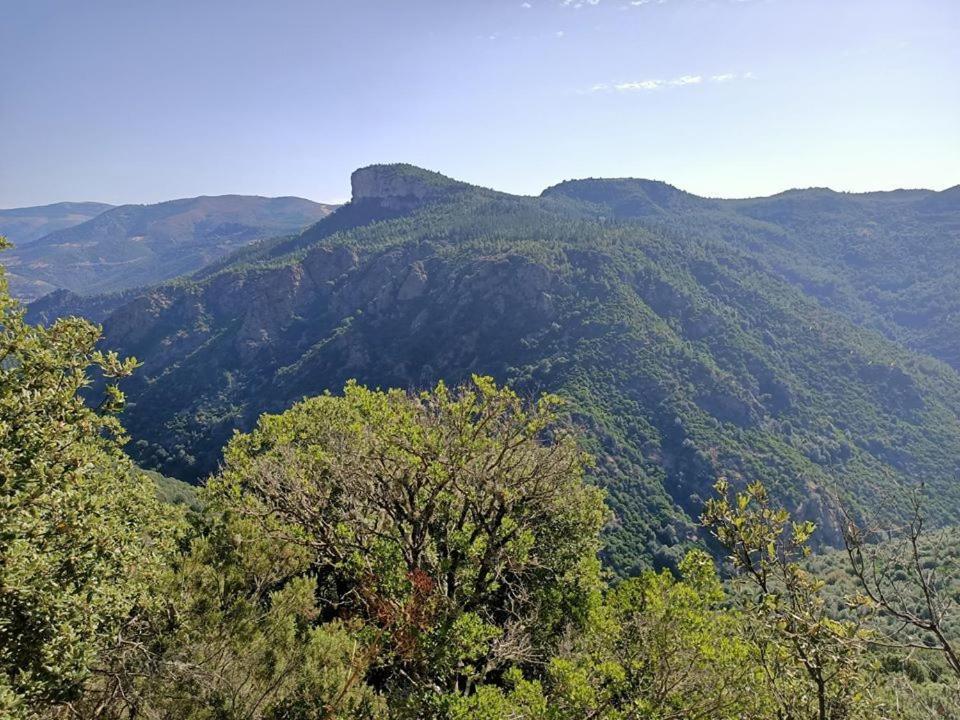 Sa Stiddiosa Guesthouse Gadoni Exteriér fotografie